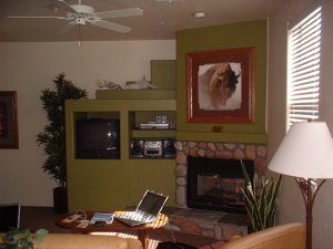 bison_fireplace.jpg bison_fireplace.jpg