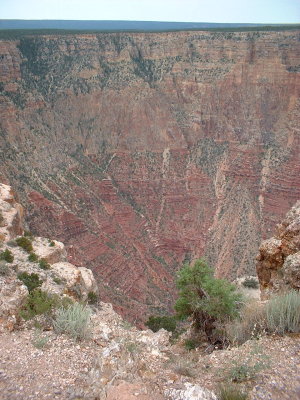 grandcanyon1.jpg grandcanyon1.jpg