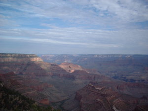 grandcanyon_vista2.jpg grandcanyon_vista2.jpg