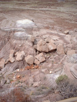 petrifiedforest_logs1.jpg petrifiedforest_logs1.jpg