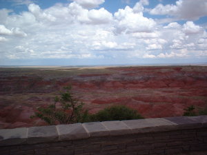 petrifiedforest_painteddesert.jpg petrifiedforest_painteddesert.jpg