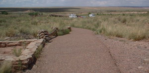 petrifiedforest_prospecting.jpg petrifiedforest_prospecting.jpg